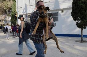 Dogs Rescued From A Shelter In Mexico City Are Delivered To Neighbors