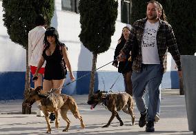 Dogs Rescued From A Shelter In Mexico City Are Delivered To Neighbors