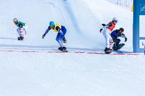 SPORT INVERNALI - Snowboard - FIS Snowboard Cross World Cup - Women and Men