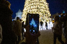 Christmas Tree Lisbon