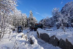 Winter Travelers In Bavaria At Lake Eibsee Bus Stop