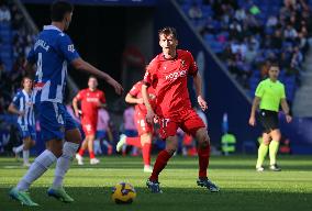 RCD Espanyol de Barcelona v CA Osasuna - La Liga EA Sports