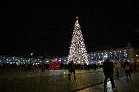 Christmas Tree Lisbon