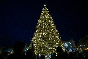 Christmas Tree Lisbon