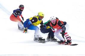 SPORT INVERNALI - Snowboard - FIS Snowboard Cross World Cup - Women and Men