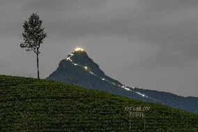 Adam's Peak In Sri Lanka