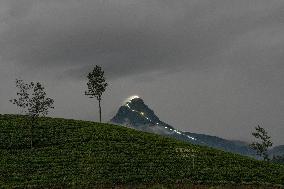 Adam's Peak In Sri Lanka