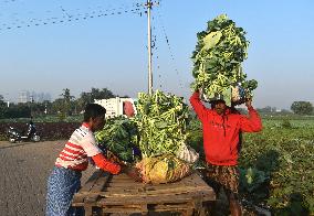 Agriculture India