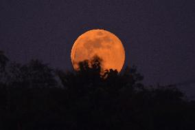 Cold Moon In India