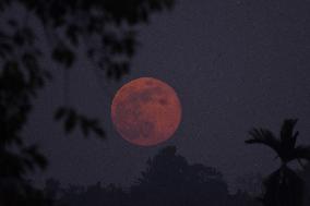 Cold Moon In India