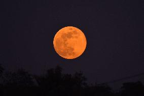 Cold Moon In India