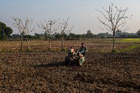 Daily Life In Magura