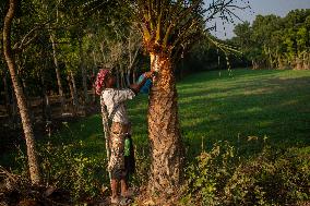 Daily Life In Magura