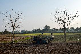 Daily Life In Magura