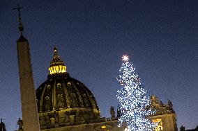 Christmas Tree In St Peter's Square, Vatican City.