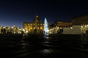 Christmas Tree In St Peter's Square, Vatican City.