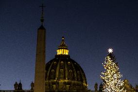 Christmas Tree In St Peter's Square, Vatican City.