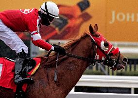 Thoroughbred Horse Racing At Woodbine Racetrack - December 15, 2024