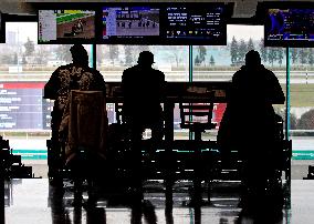 Thoroughbred Horse Racing At Woodbine Racetrack - December 15, 2024