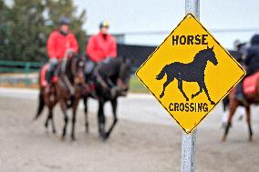 Thoroughbred Horse Racing At Woodbine Racetrack - December 15, 2024