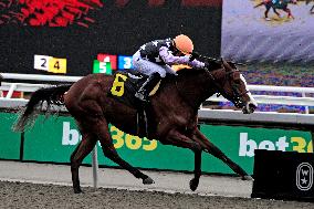 Thoroughbred Horse Racing At Woodbine Racetrack - December 15, 2024