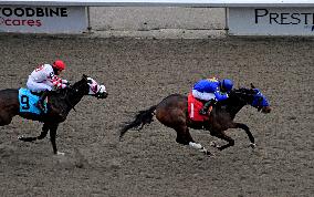 Thoroughbred Horse Racing At Woodbine Racetrack - December 15, 2024