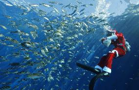 Santa Claus at Yokohama Aquarium