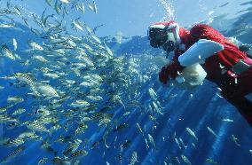 Santa Claus at Yokohama Aquarium