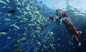 Santa Claus at Yokohama Aquarium