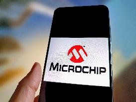 Illustration Microchip