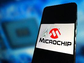 Illustration Microchip