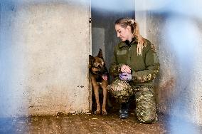 Dog training center of National Police in Zaporizhzhia