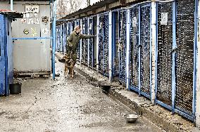 Dog training center of National Police in Zaporizhzhia