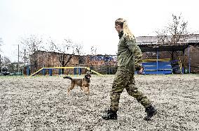 Dog training center of National Police in Zaporizhzhia