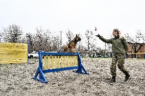 Dog training center of National Police in Zaporizhzhia