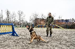 Dog training center of National Police in Zaporizhzhia