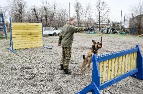 Dog training center of National Police in Zaporizhzhia