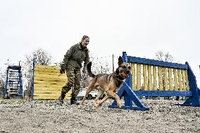 Dog training center of National Police in Zaporizhzhia