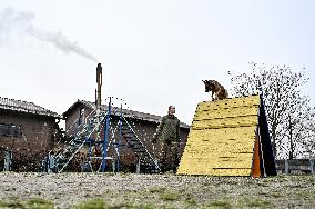 Dog training center of National Police in Zaporizhzhia