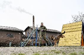 Dog training center of National Police in Zaporizhzhia