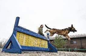 Dog training center of National Police in Zaporizhzhia