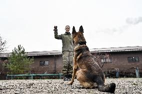 Dog training center of National Police in Zaporizhzhia