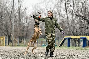 Dog training center of National Police in Zaporizhzhia