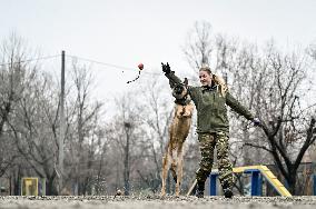 Dog training center of National Police in Zaporizhzhia