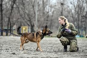 Dog training center of National Police in Zaporizhzhia