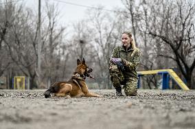 Dog training center of National Police in Zaporizhzhia