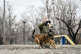 Dog training center of National Police in Zaporizhzhia