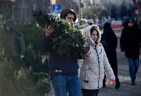 Christmas trees on sale in Kyiv