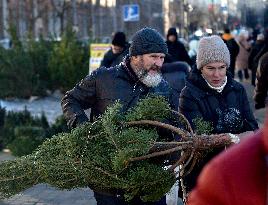 Christmas trees on sale in Kyiv