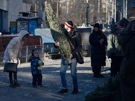 Christmas trees on sale in Kyiv